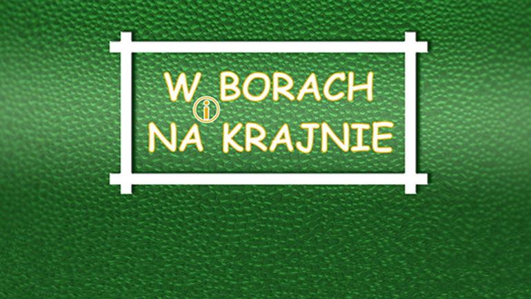 logo w borach i na krajnie