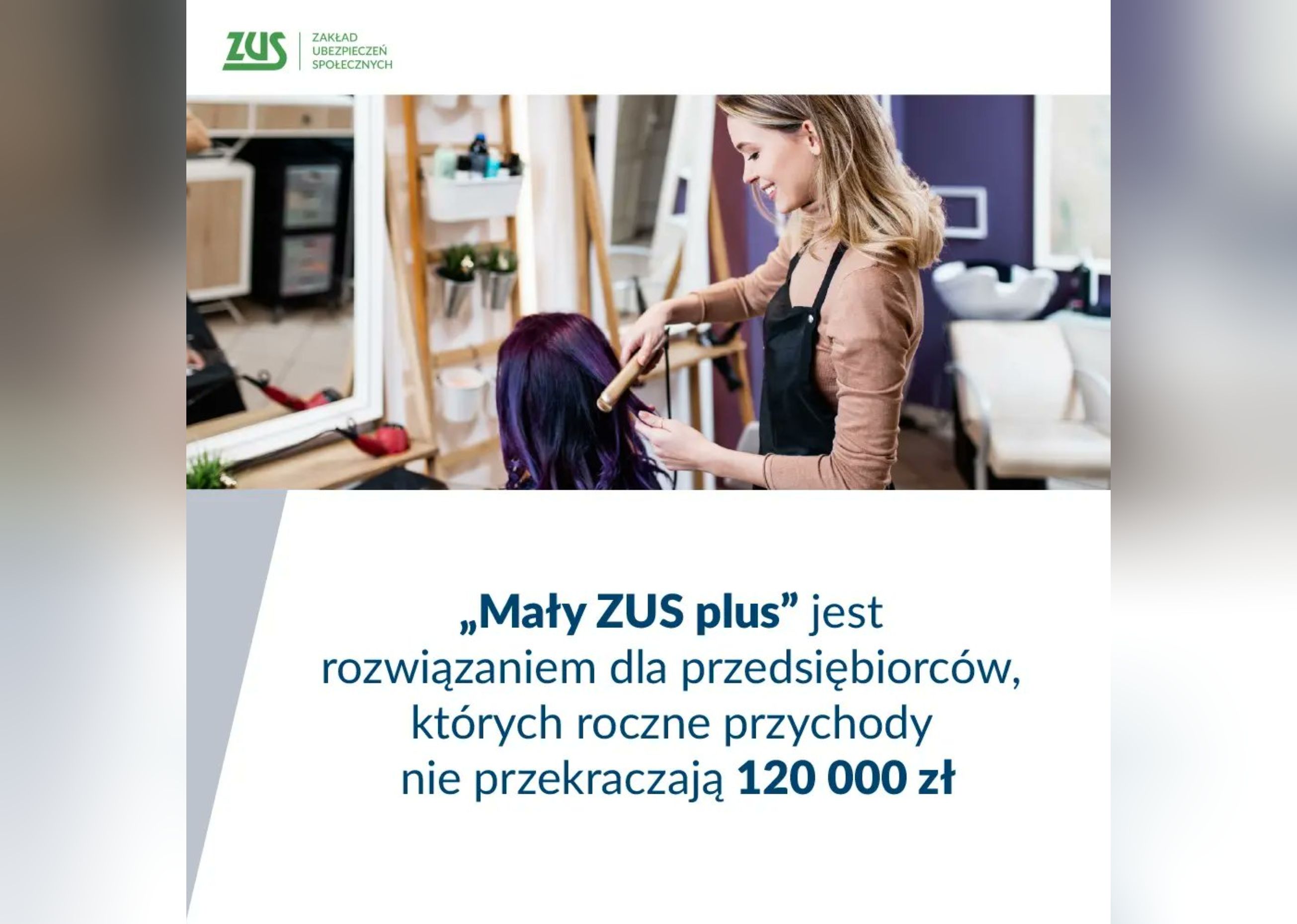 Mały zus plus grafika
