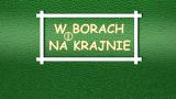 w borach i na krajnie logo