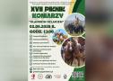 piknik koniarzy plakat poziom