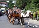 Piknik koniarzy