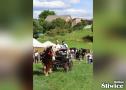 Piknik koniarzy