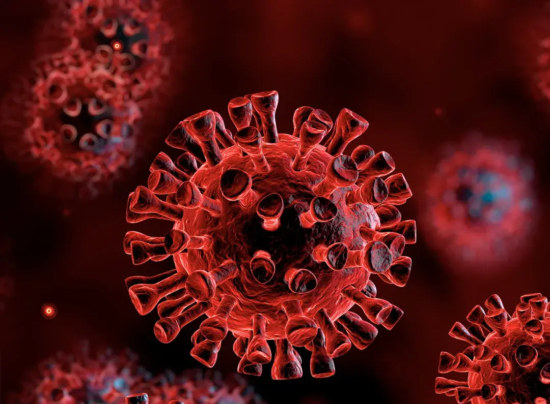  Coronavirus-COVID-19