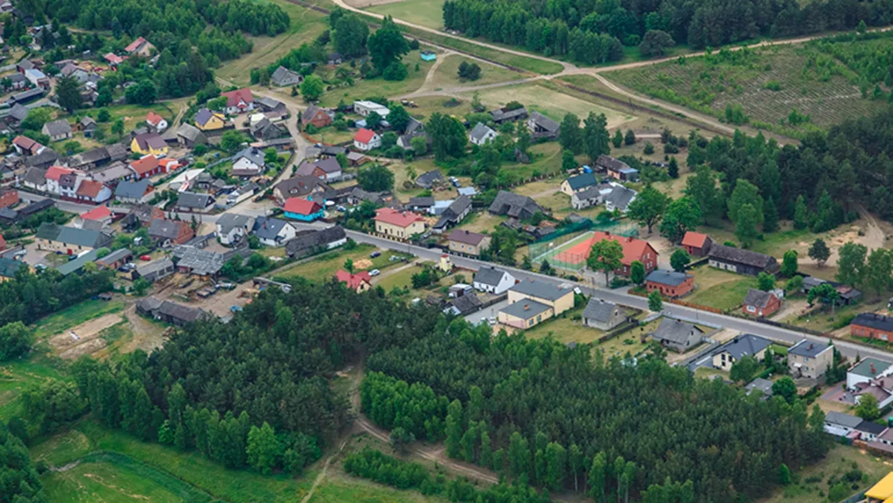 śliwiczki