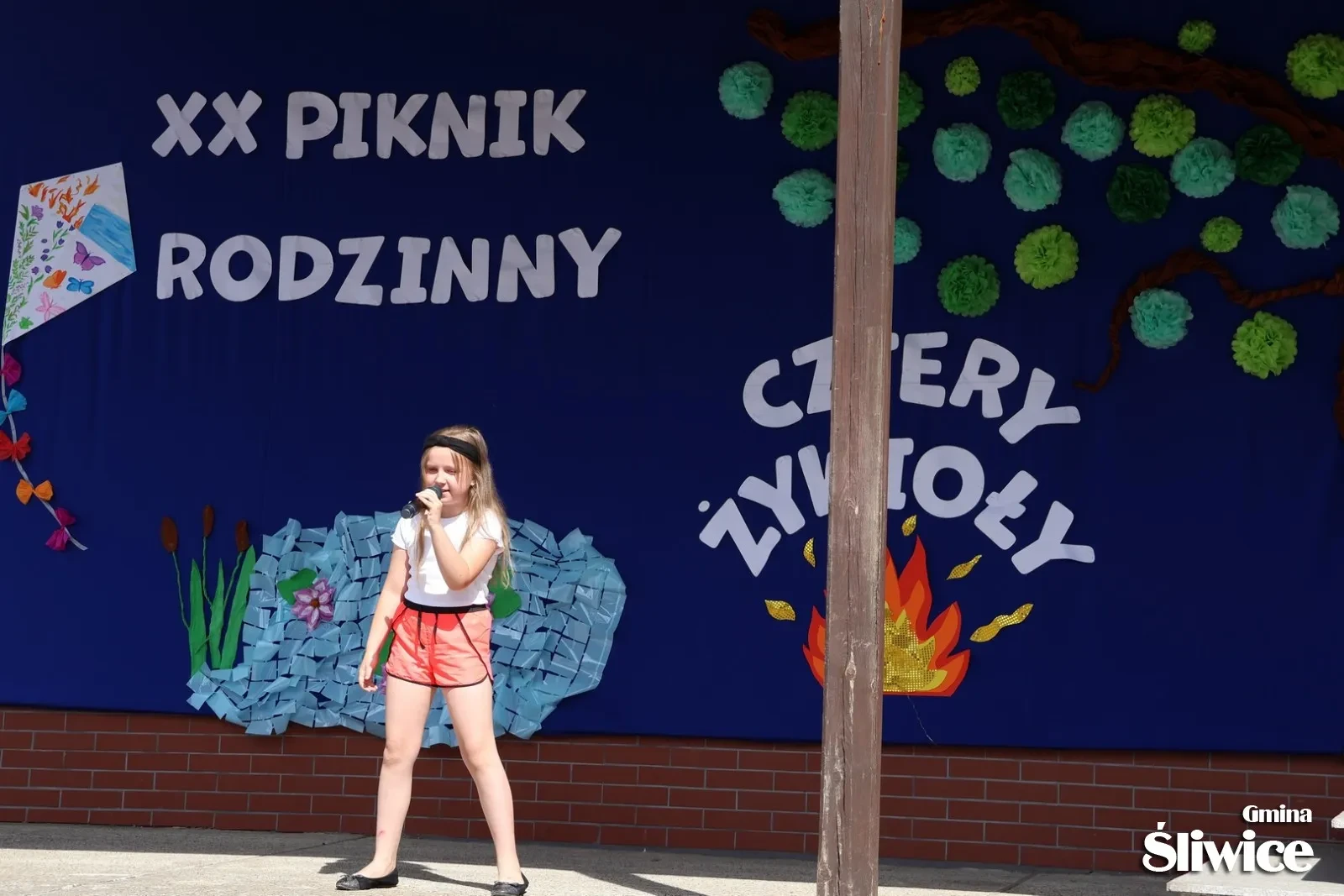 występ podczas pikniku