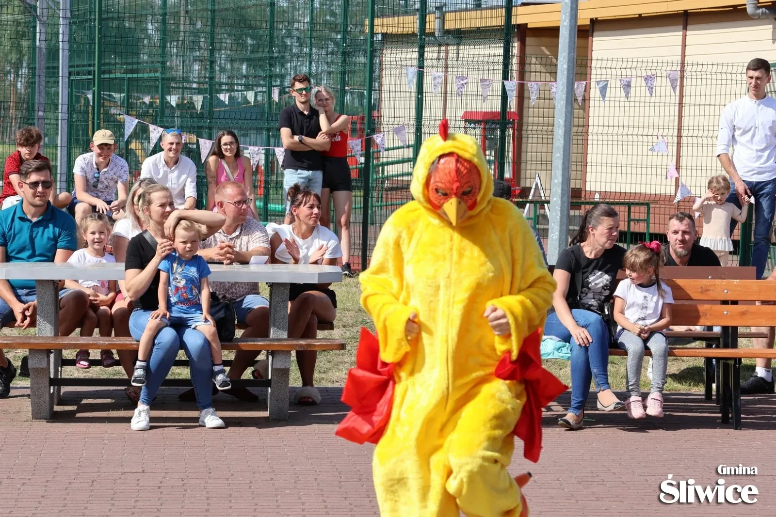 występ podczas pikniku