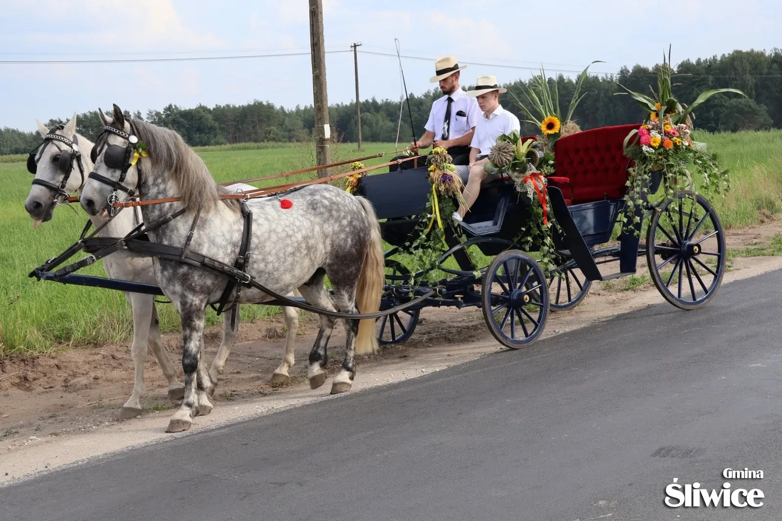 dożynki