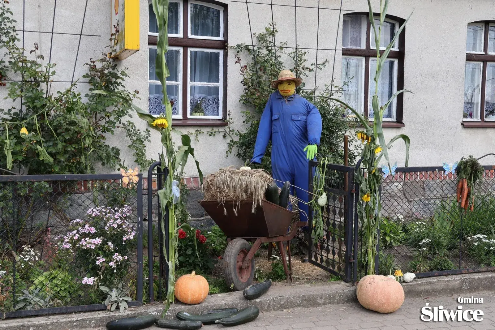 dożynki