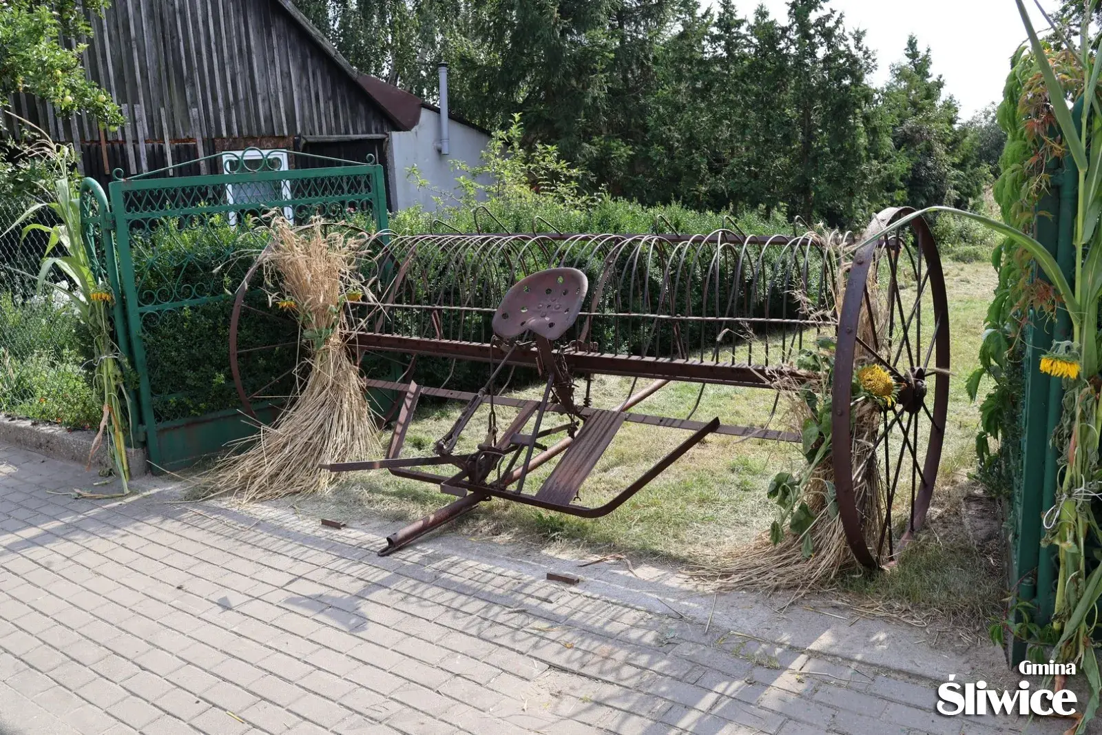 dożynki