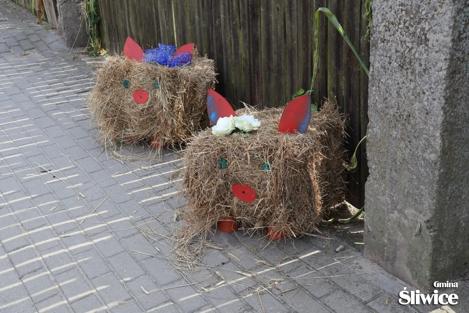 dożynki