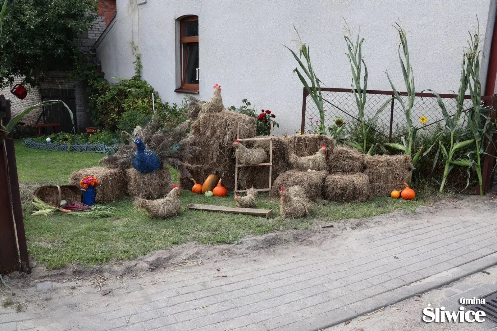 dożynki