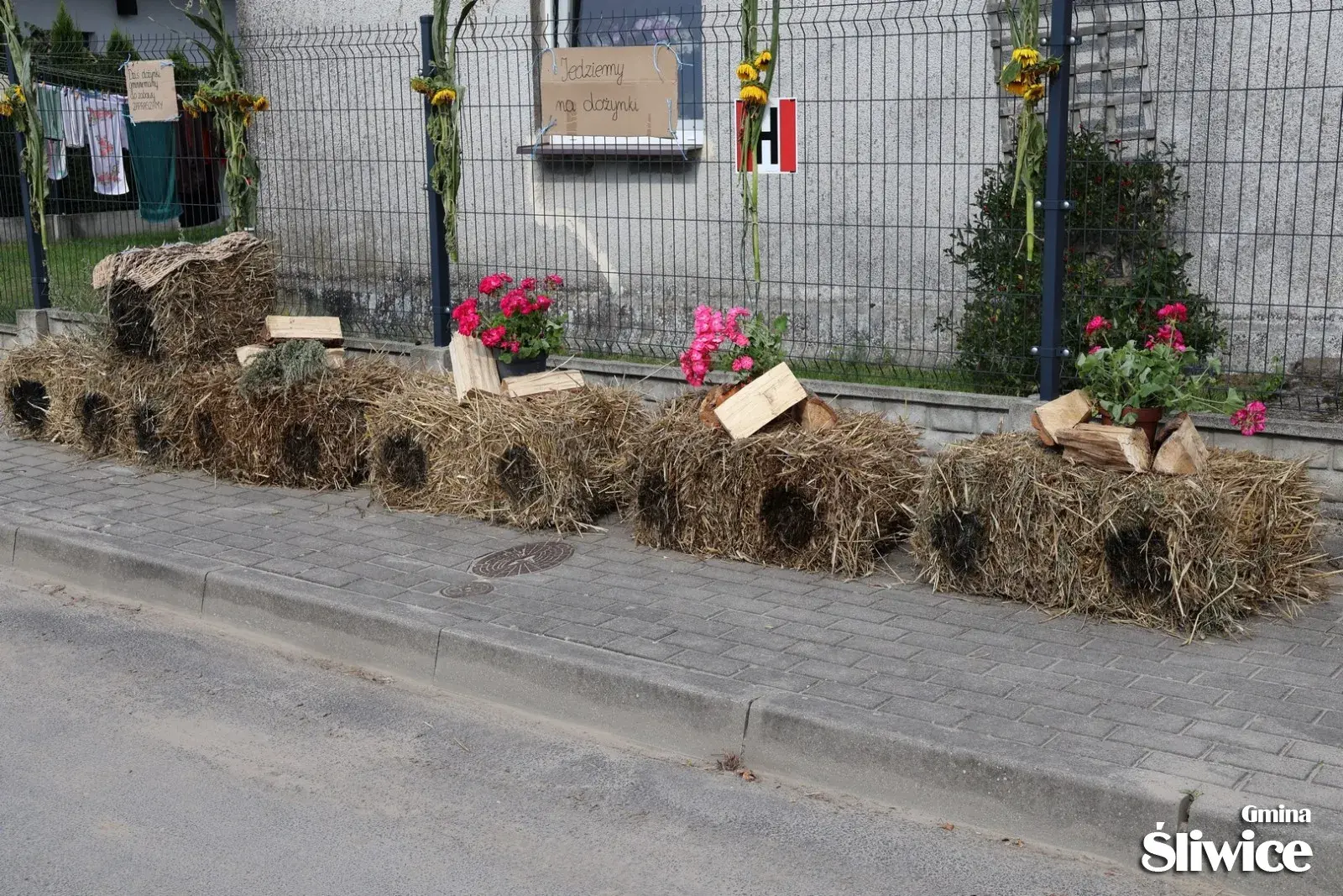 dożynki