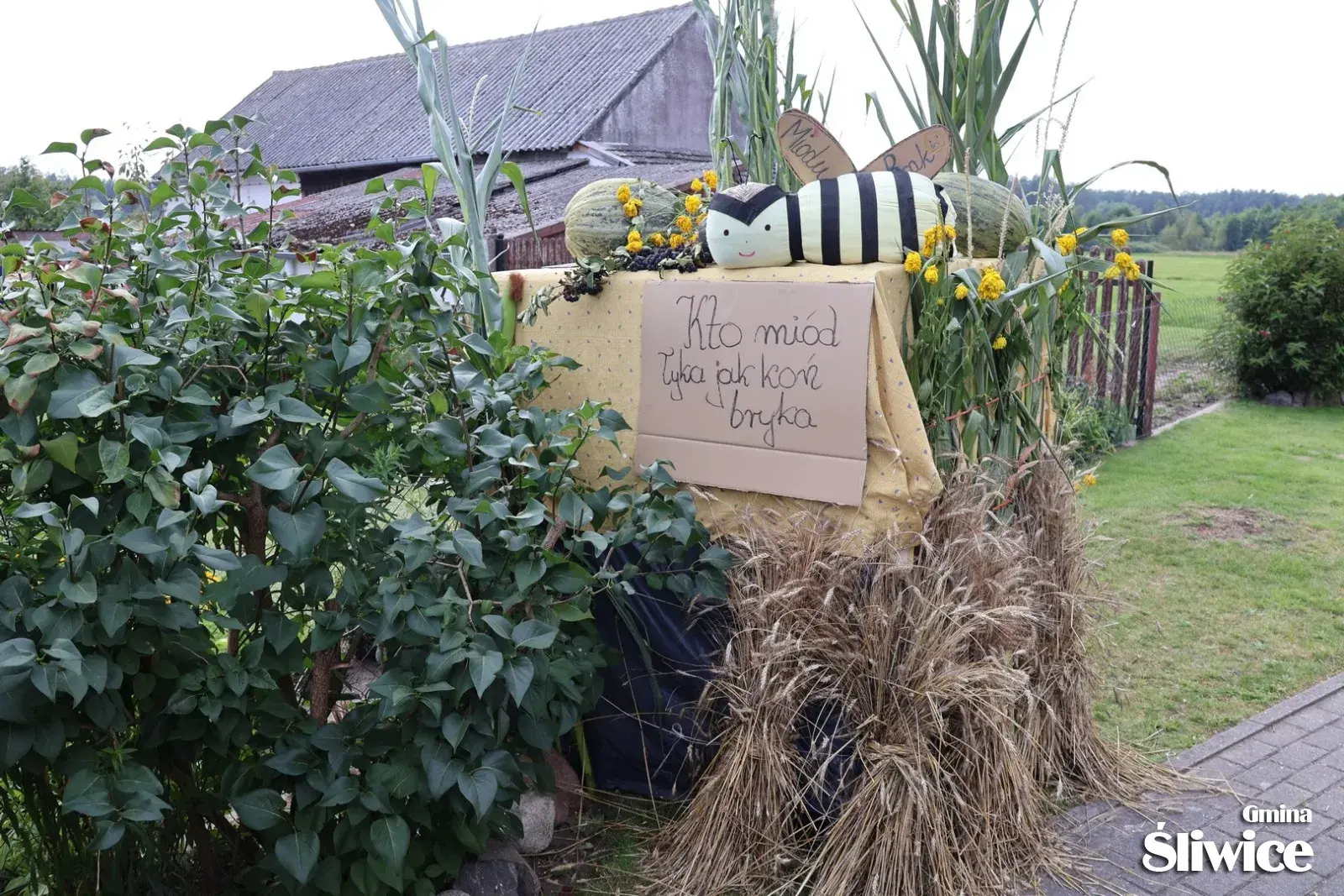 dożynki