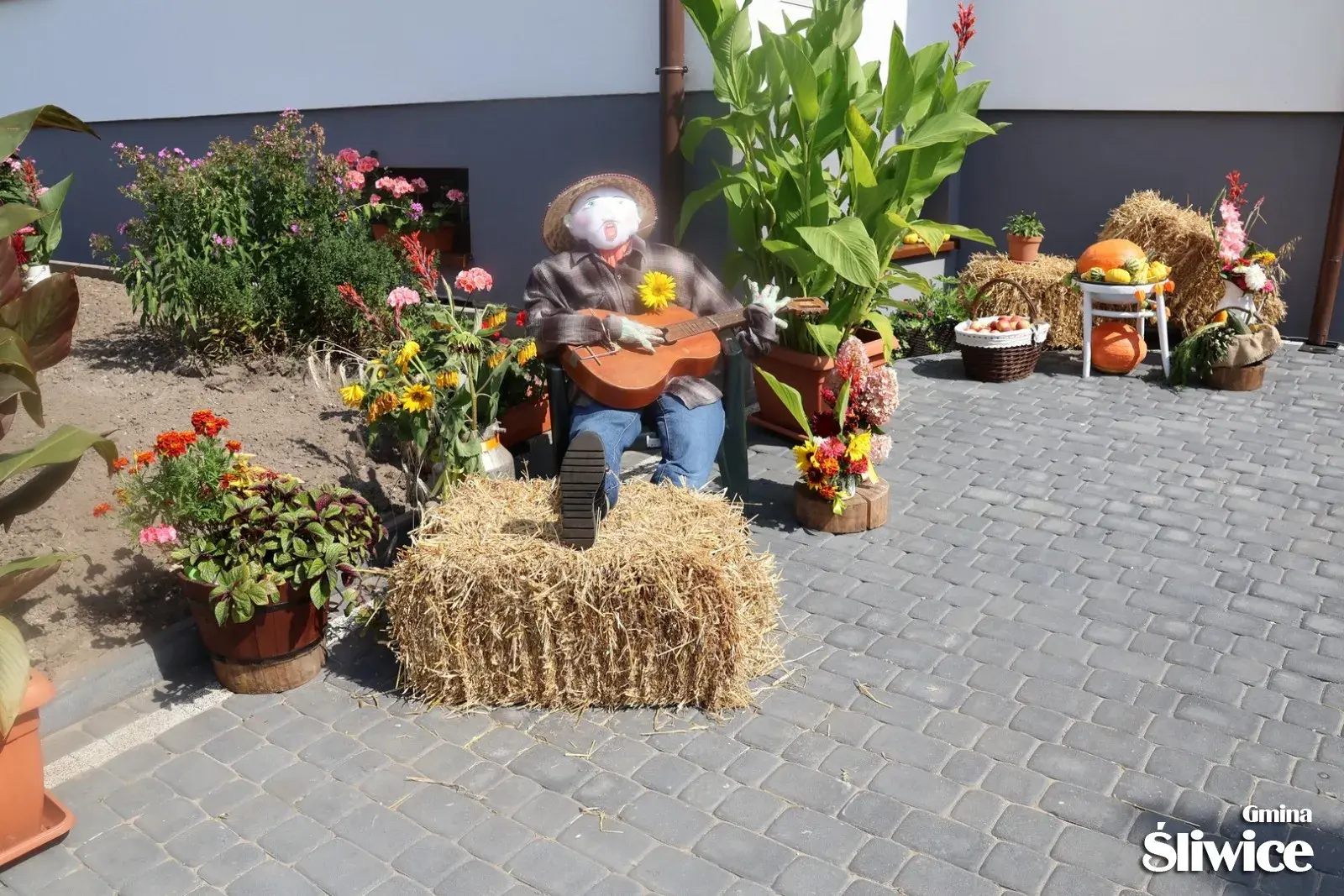 dożynki