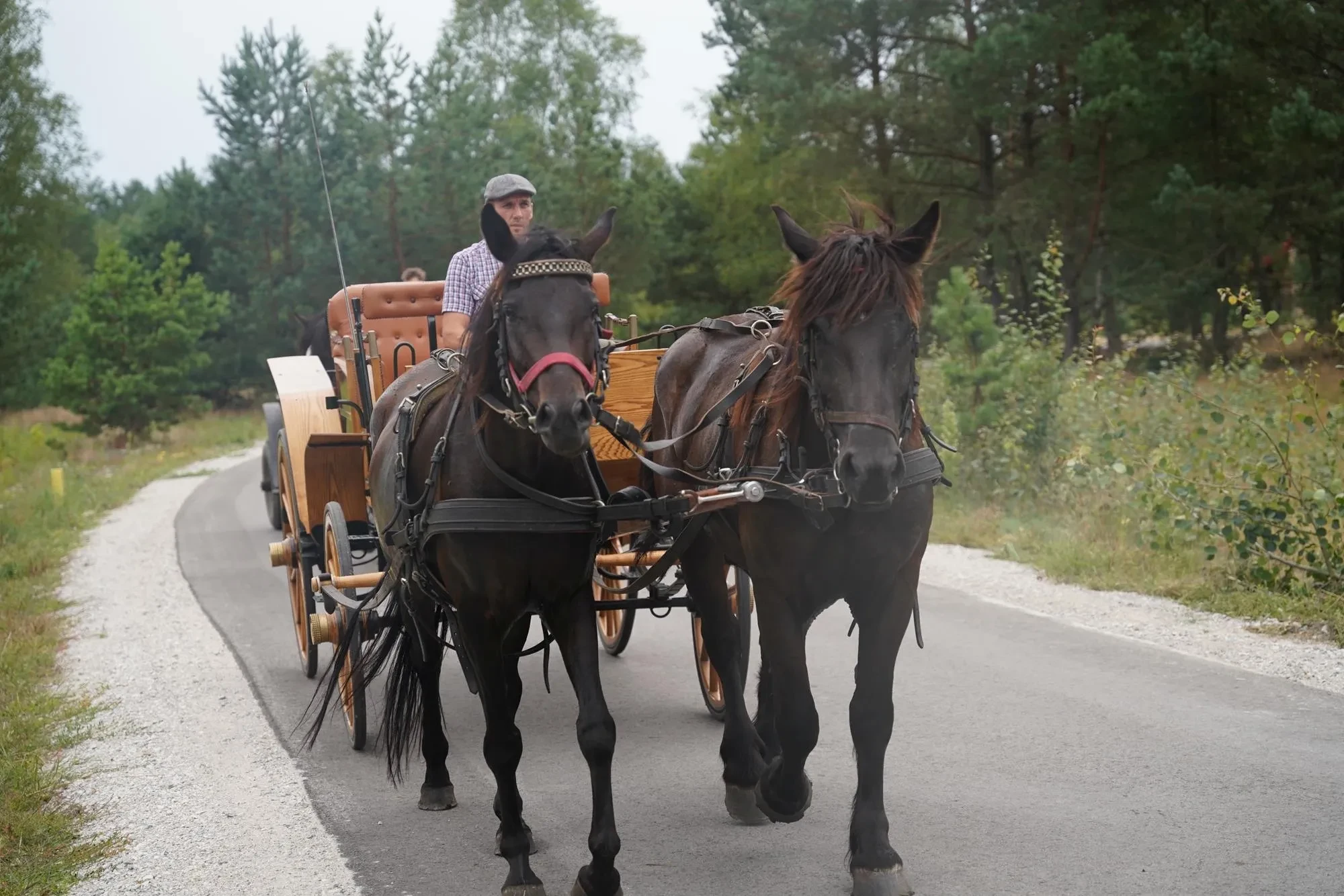 bryczka na wąskich dużych kołach