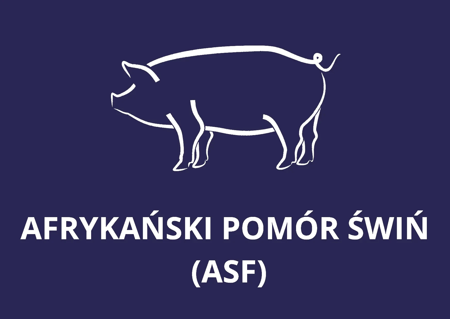  grafika ze świnią i napisem Afrykański Pomór Świń (ASF)