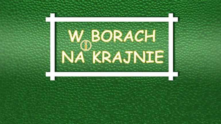 w borach i na krajnie logo