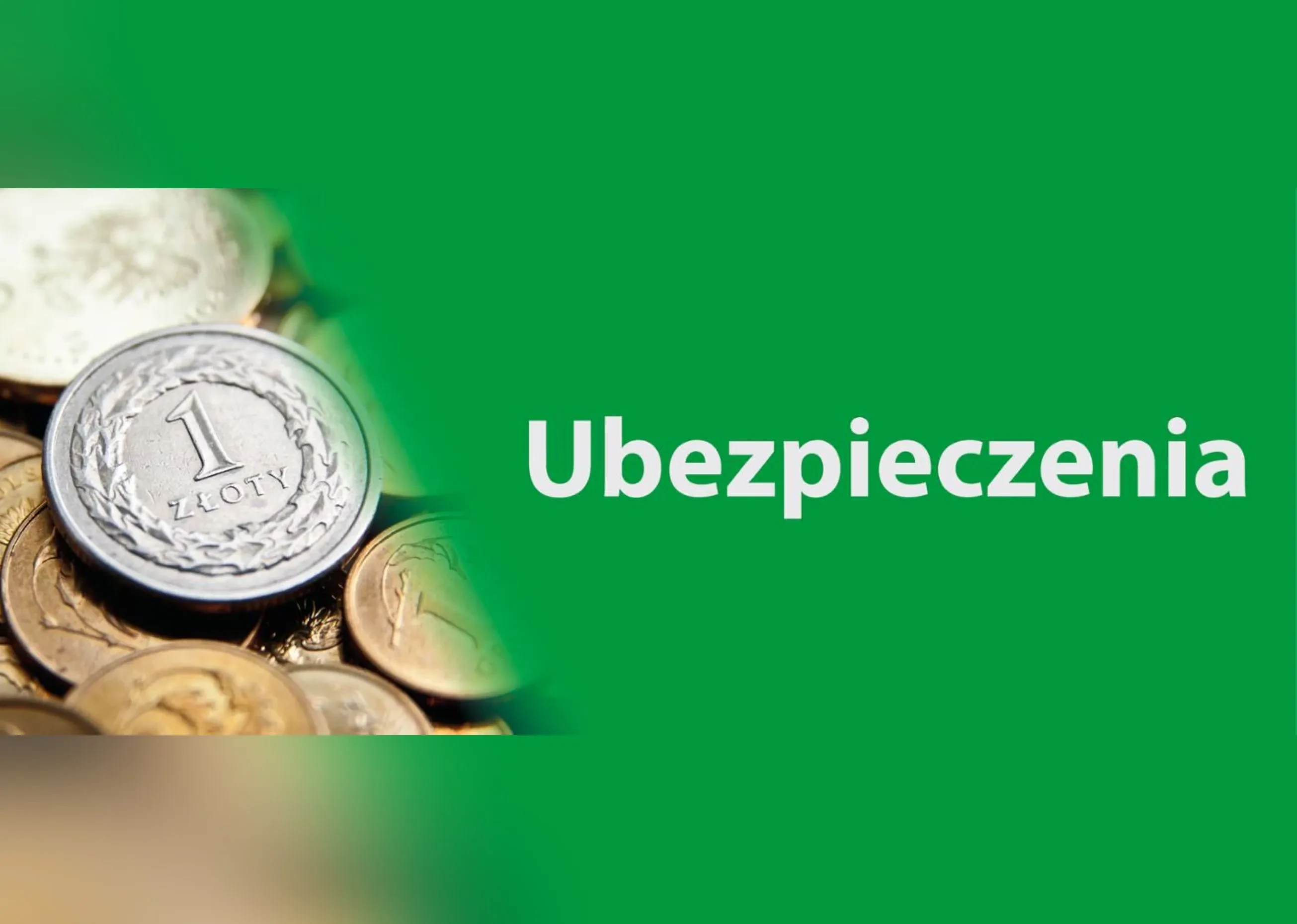 ubezpieczenia grafika