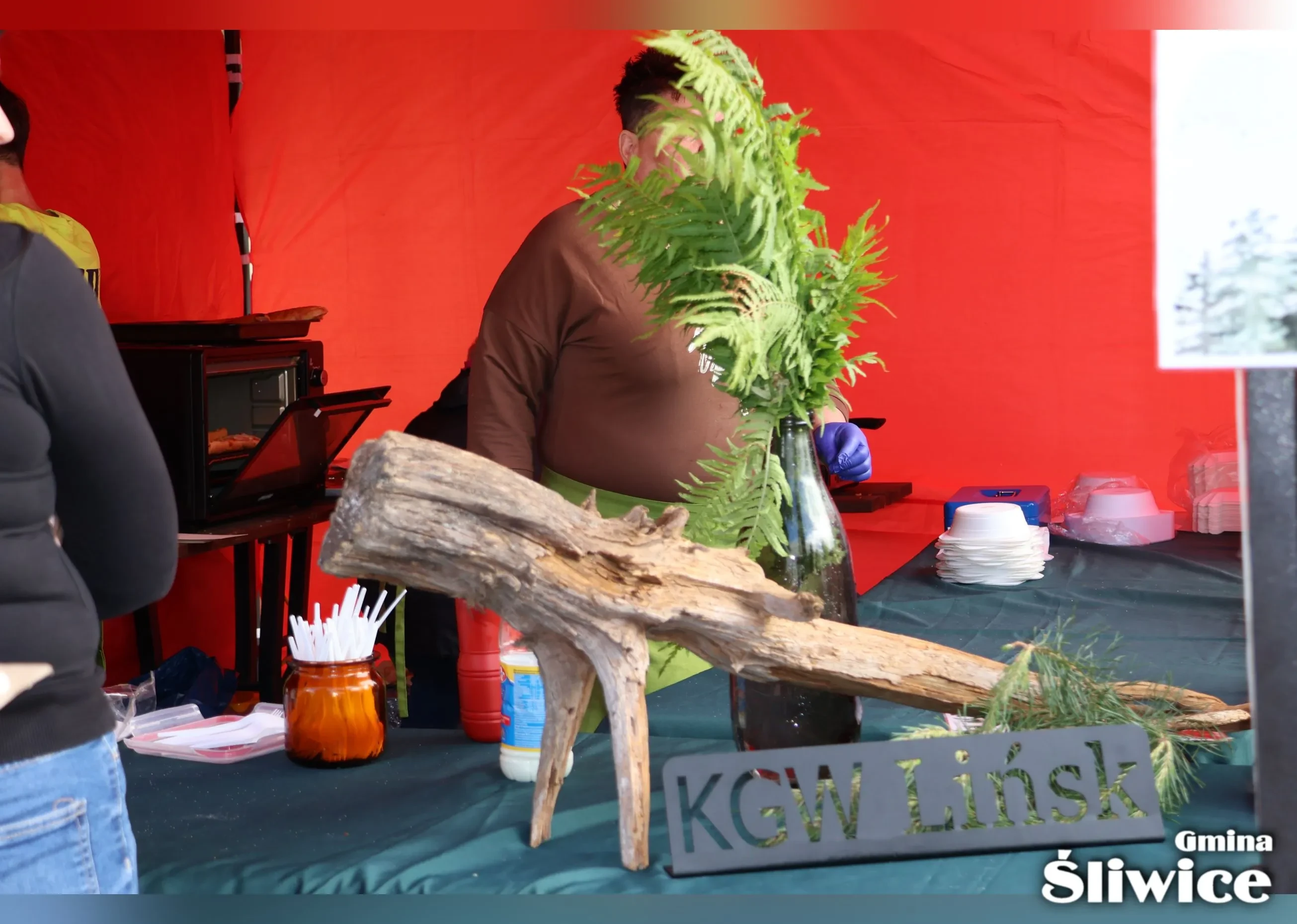 piknik sp w lińsku